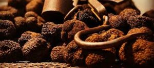 Maison Dessis - Truffes fraîches